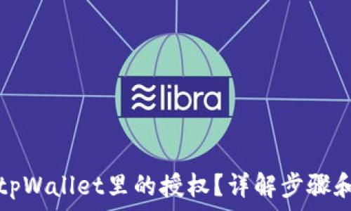 如何解除tpWallet里的授权?详解步骤和注意事项